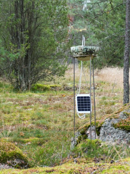 Venus Jasper. Picture: Lennart Creutzburg / Text my Sister