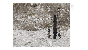 publication The Day It Rains Jellyfish