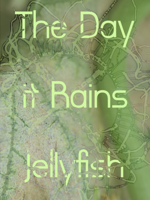 Poster Light-Harvesting Complex