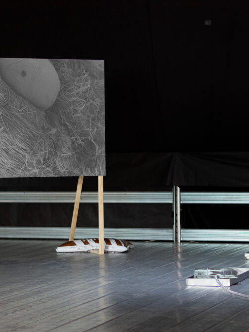 Lorena Solis Bravo. Picture: Julia Fidder / Text my Sister